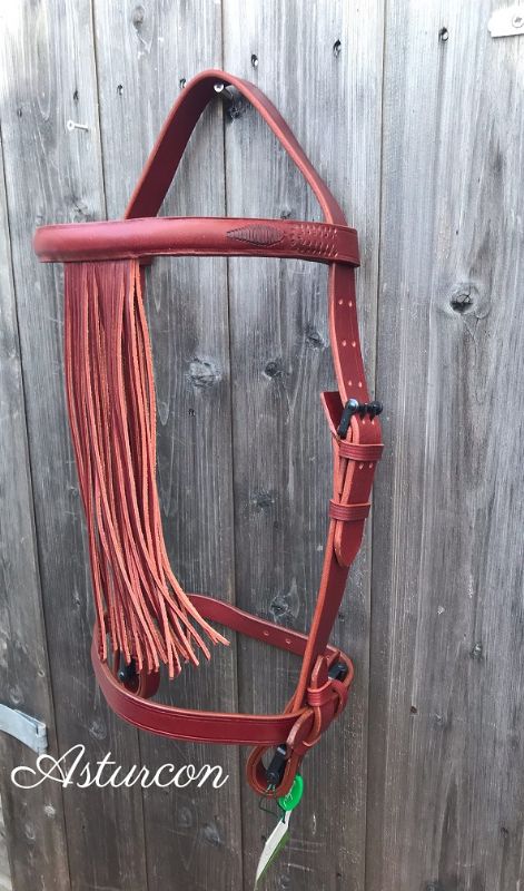 Knot Vaquera Bridle